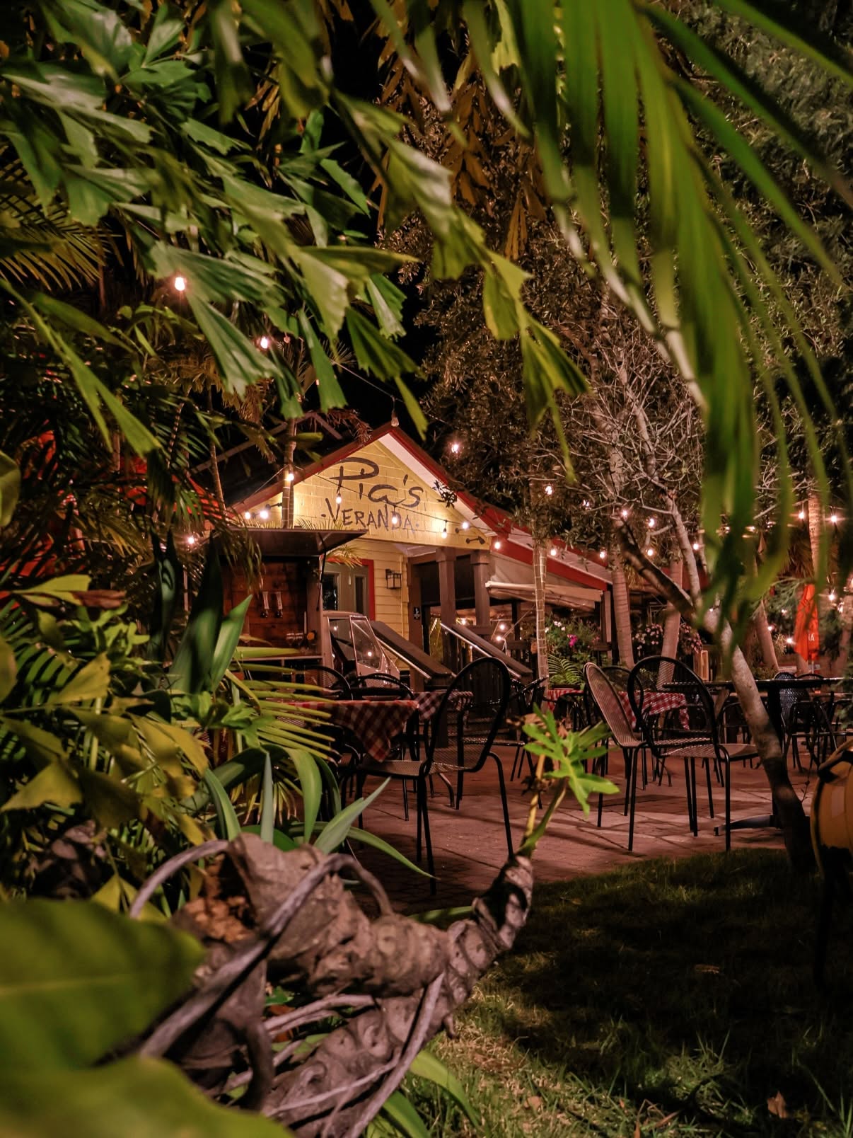 The Veranda garden glowing through tropical leaves at night