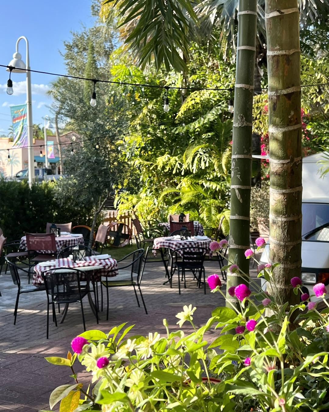 Gingham tables in the Veranda garden beside pink flowers and palm trunks