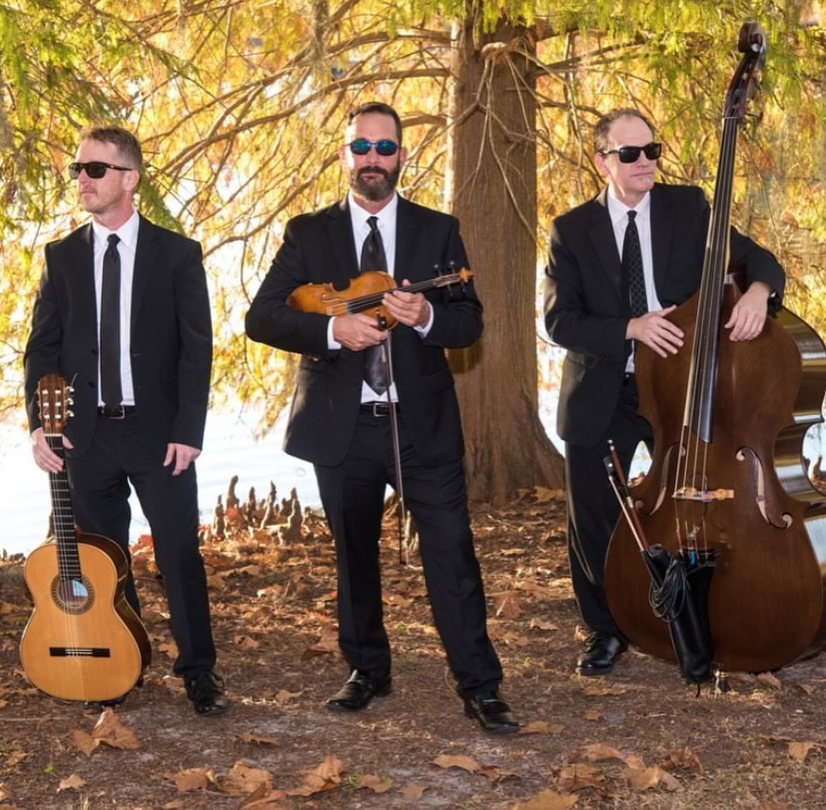 A suited trio with guitar, violin and upright bass