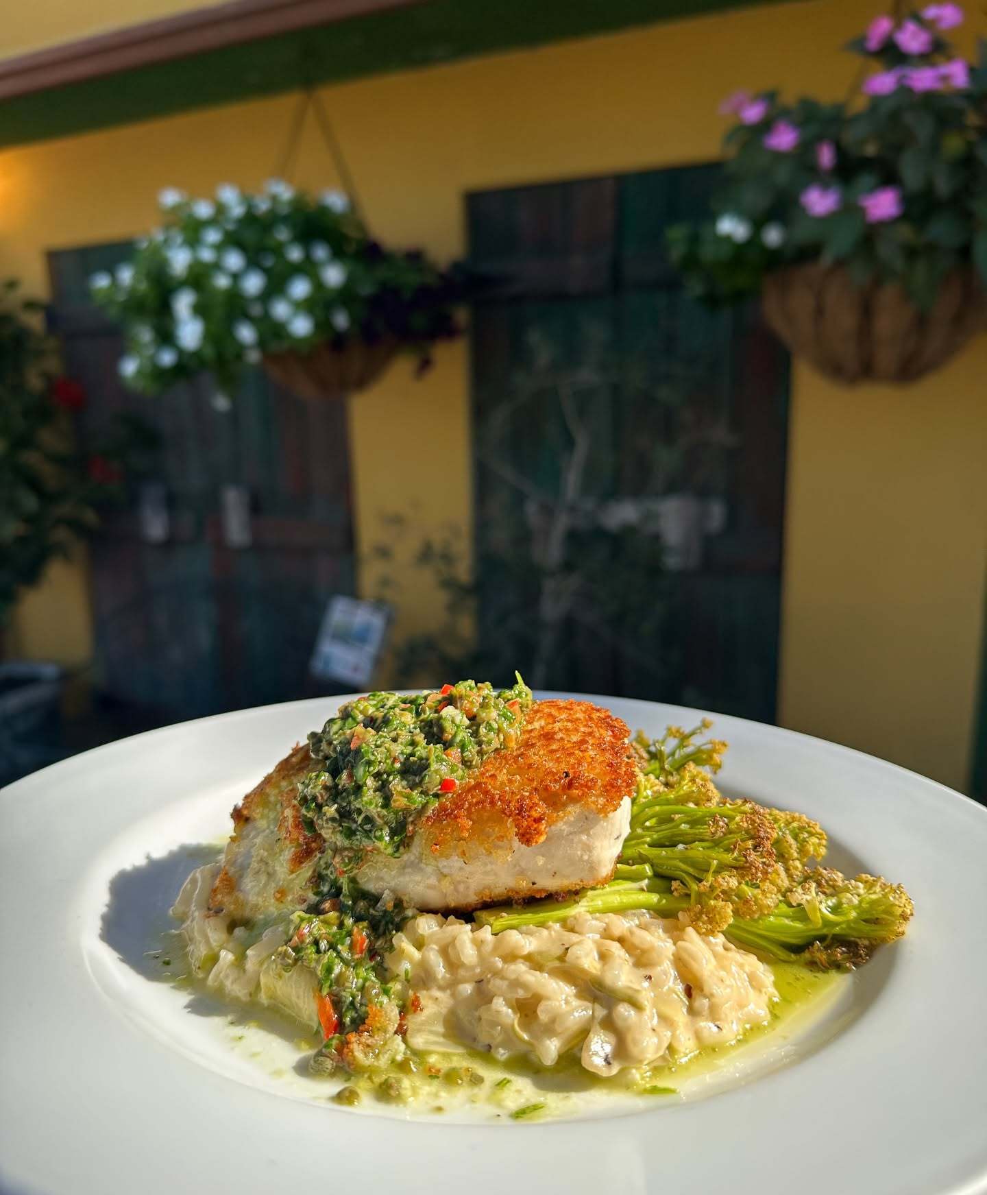 A seared fish fillet over risotto, the yellow stucco wall and flower baskets behind