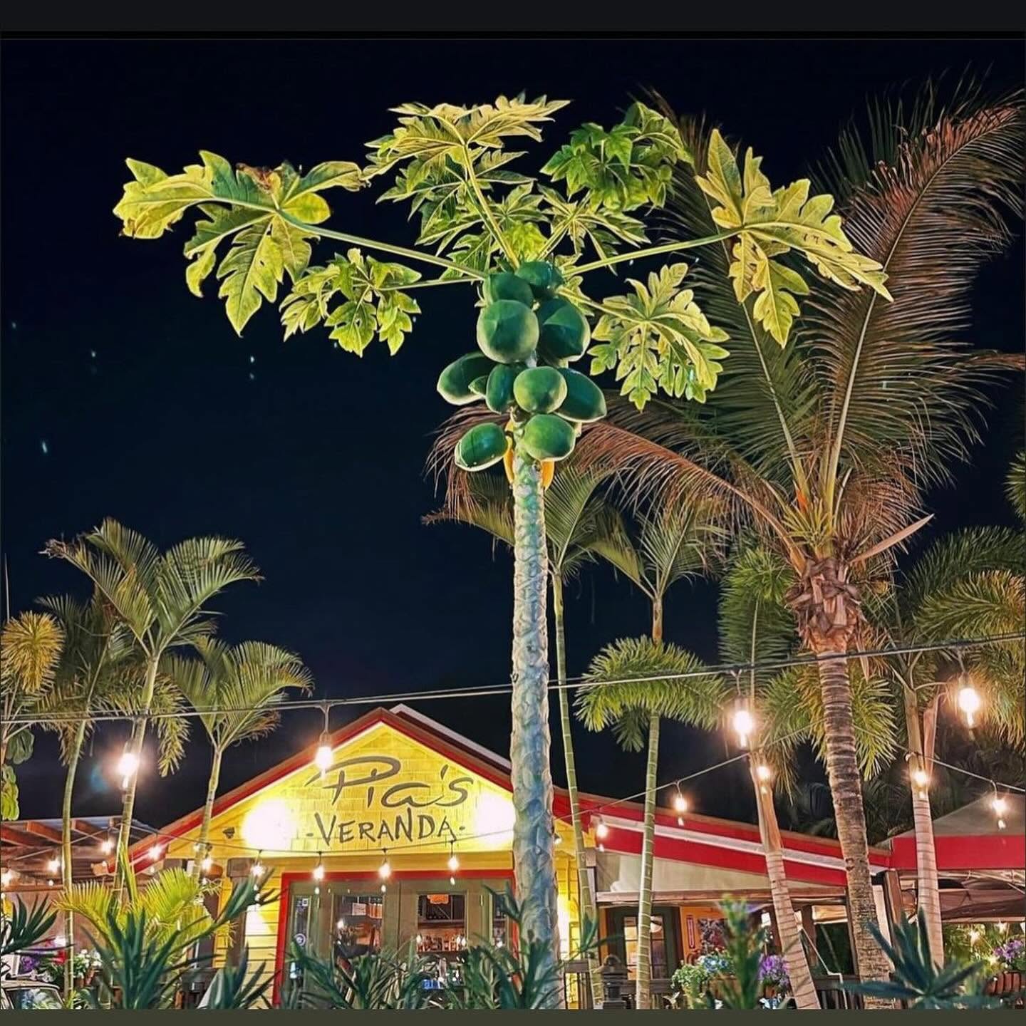 Pia's Veranda at night, its yellow gable lit under string lights, papaya and palm trees overhead